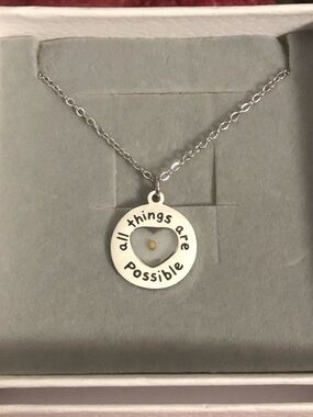 Stainless Steel All things are Possible / Mustard Seed & Heart Necklace